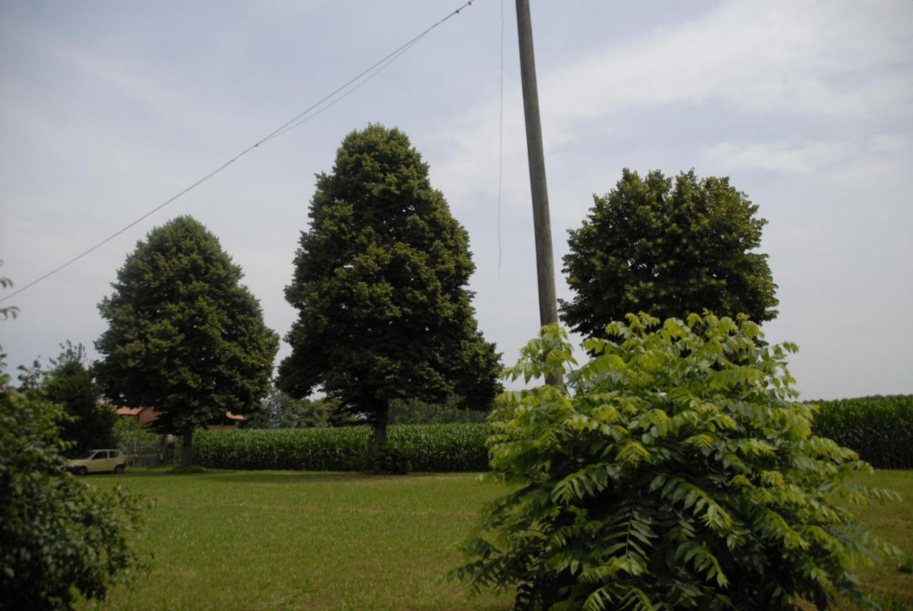 Candia Canavese Spighe Paglia E Girasole Bed & Breakfast エクステリア 写真